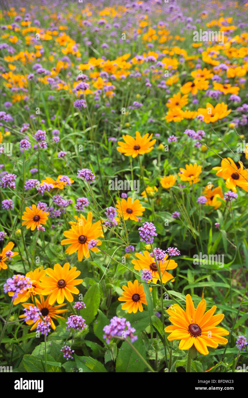 Outdoor flower display at the Niagara Parks Greenhouse near Table Rock