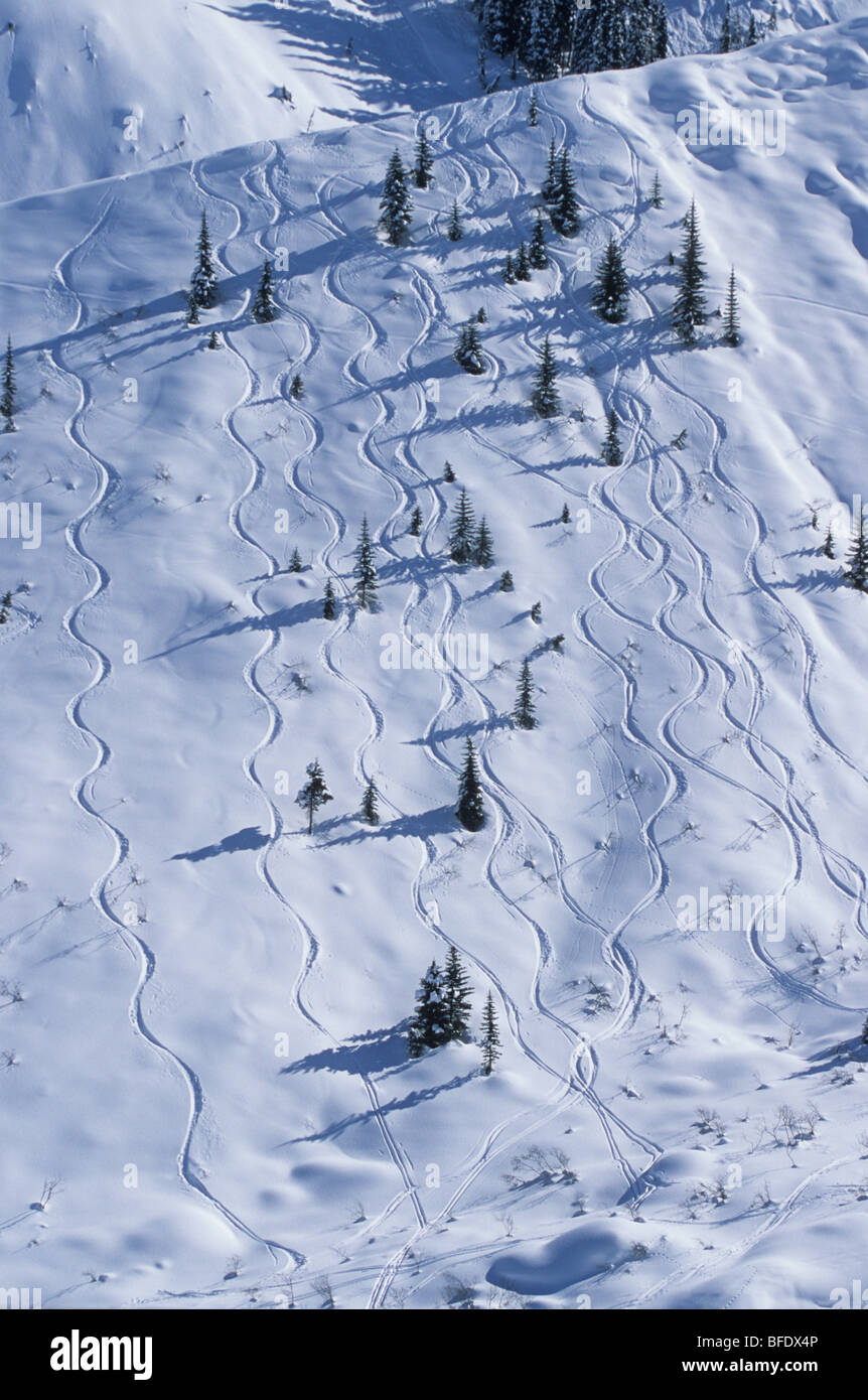 Ski tracks on a snowy slope in Rogers Pass, Glacier National Park, British Columbia, Canada Stock Photo