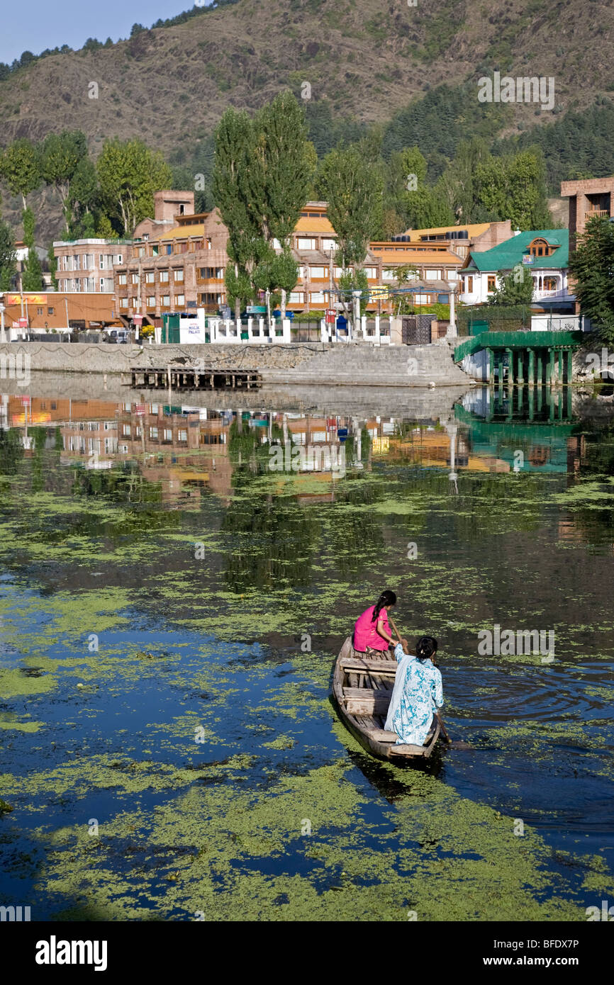 Indian women paddling a boat (shikara). Dal Lake. Srinagar. Kashmir. India Stock Photo