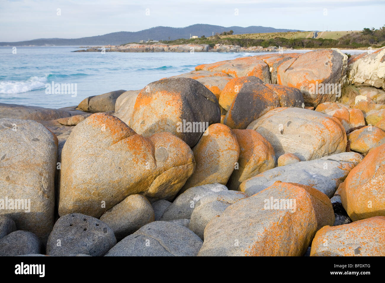 Lichen-splashed granite on the shores of the Bay of Fires Stock Photo
