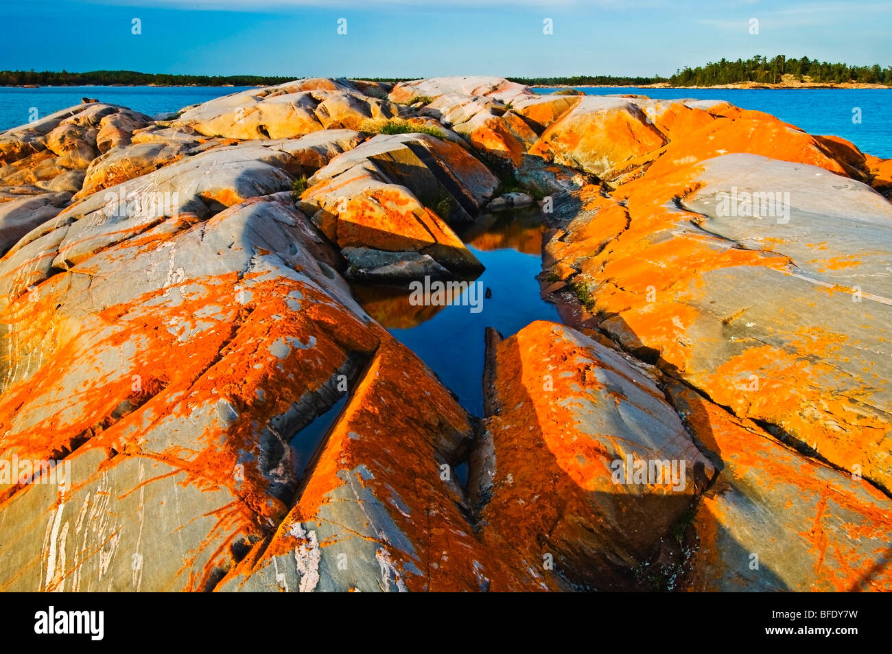 Orange lichens surround a pool of pre-cambrian rock on Georgian Bay, south of Philip Edward Island, Ontario, Canada Stock Photo