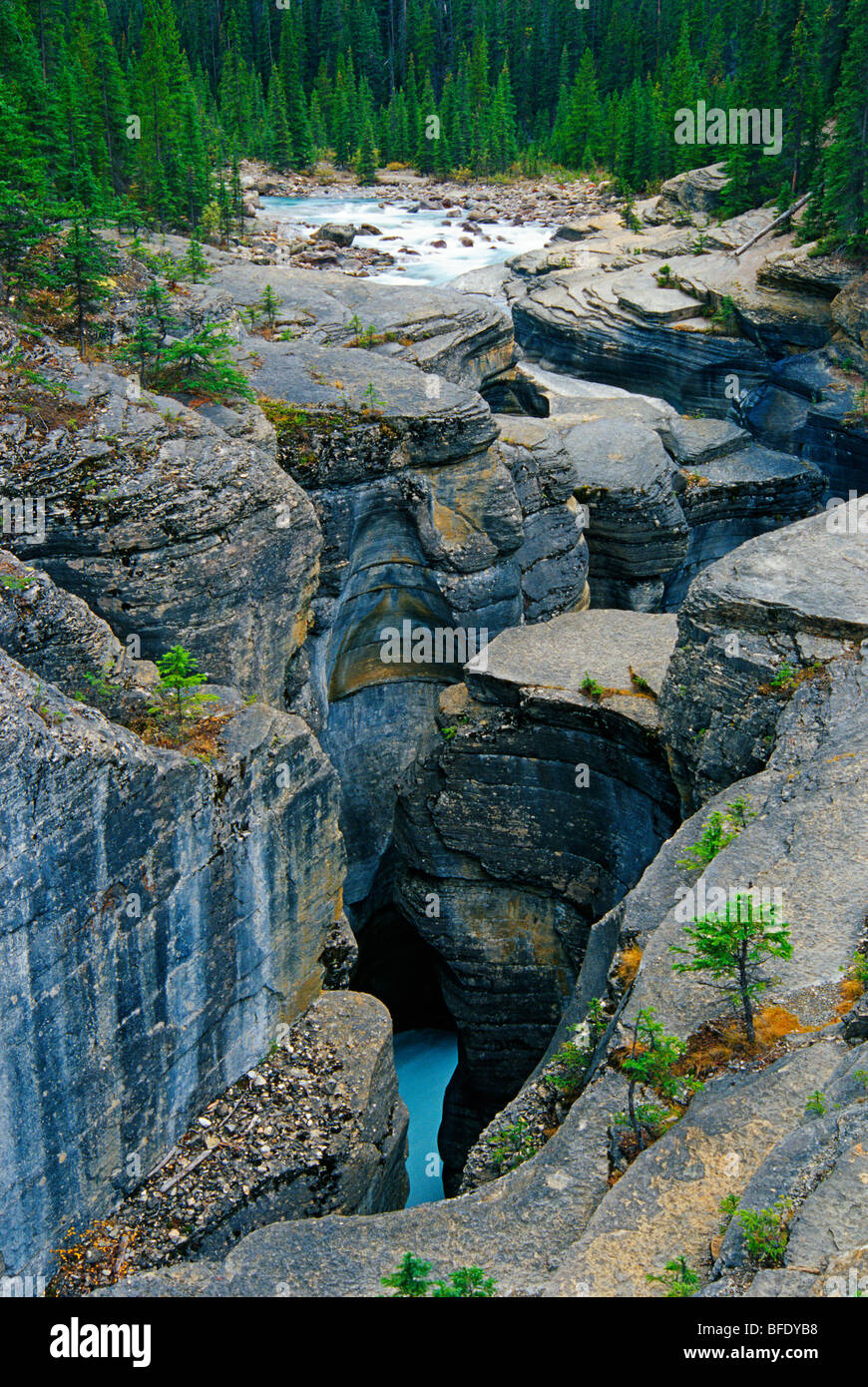 Mistaya Canyon, Icefields Parkway, Banff National Park, Alberta, Canada