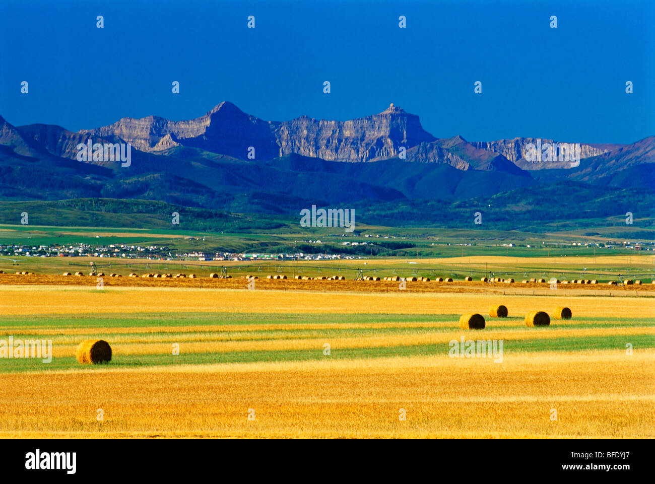 Farmland where the prairie meets the mountain near Pincher Creek, Alberta, Canada Stock Photo