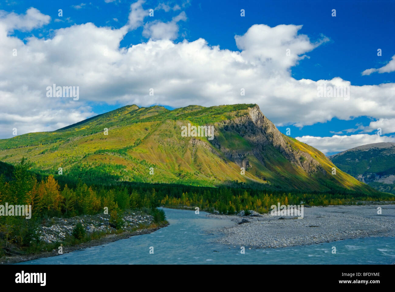 Toad river british columbia hires stock photography and images Alamy