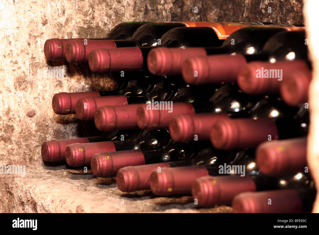 Wine bottles in cellar Stock Photo Alamy