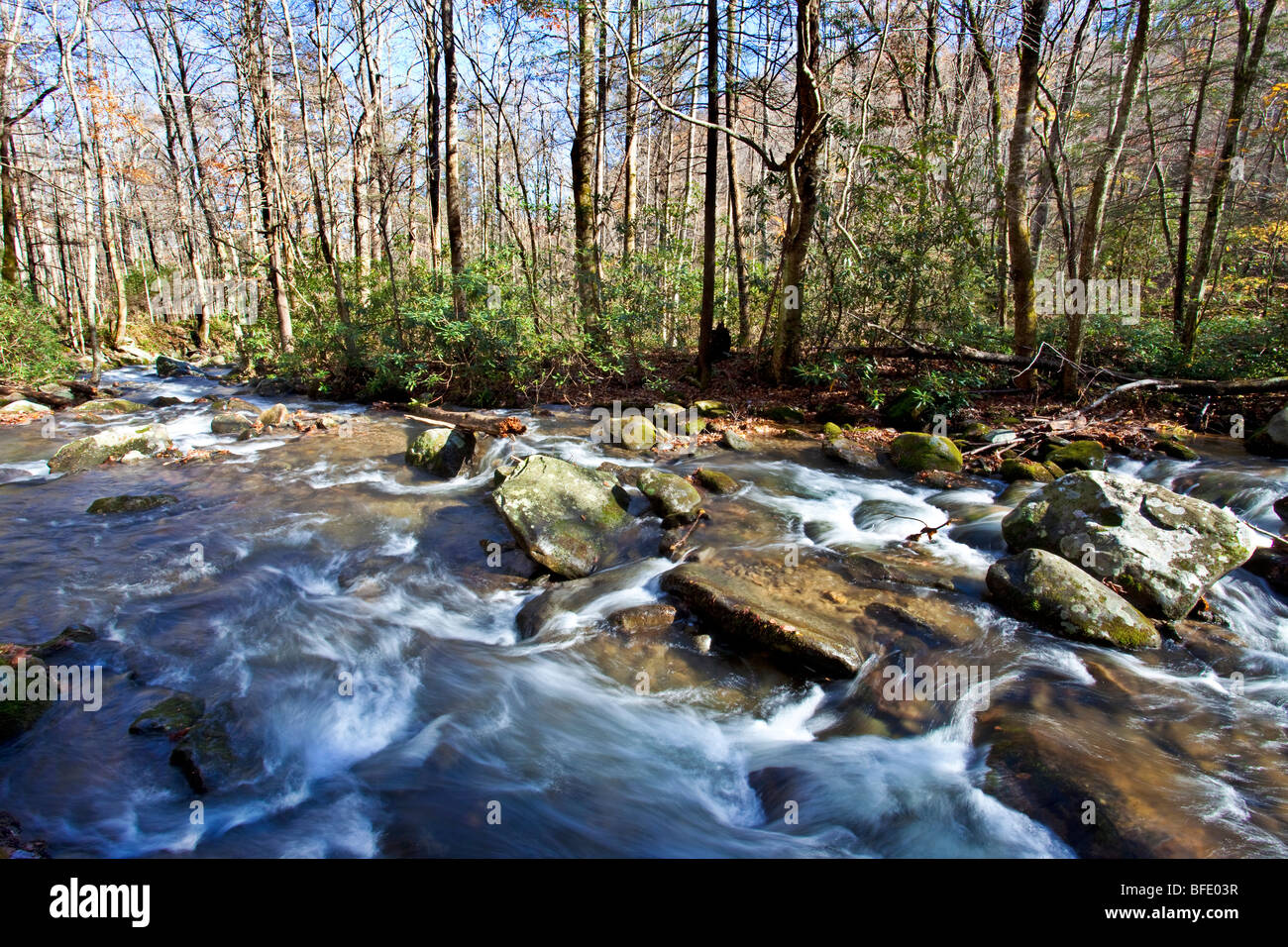 Little Pigeon River, Great Smoky Mountains National Park, Tennessee Stock Photo