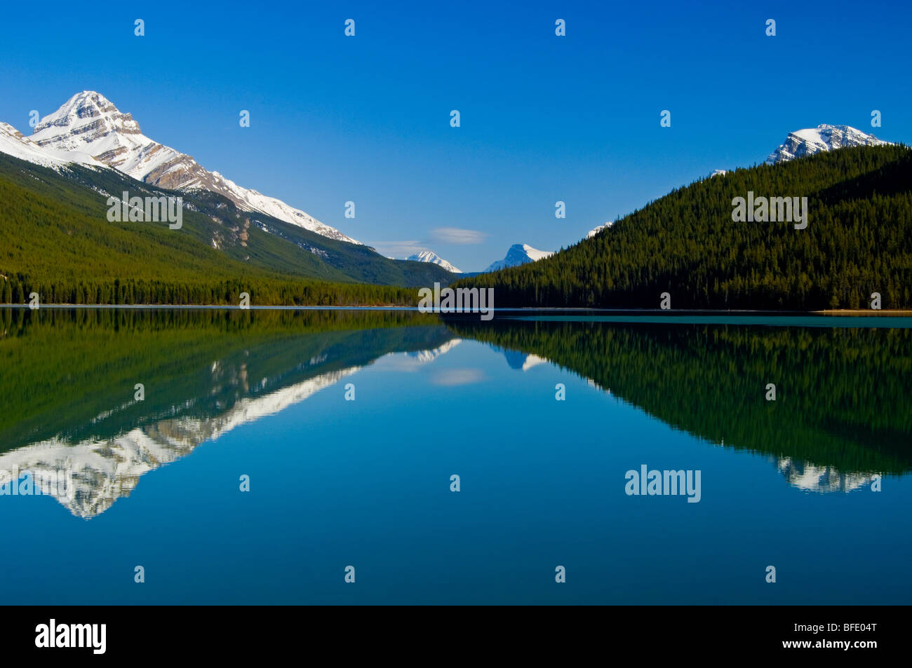 Mount Weed, at left, reflected in Lower Waterfowl Lake, Icefields Parkway, Banff National Park, Alberta, Canada Stock Photo
