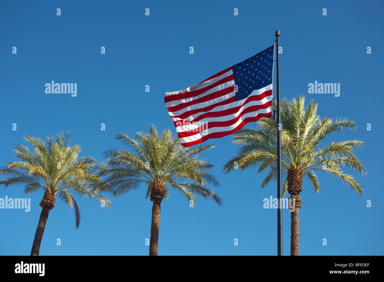 Usa flag and palms on blue sky Stock Photo