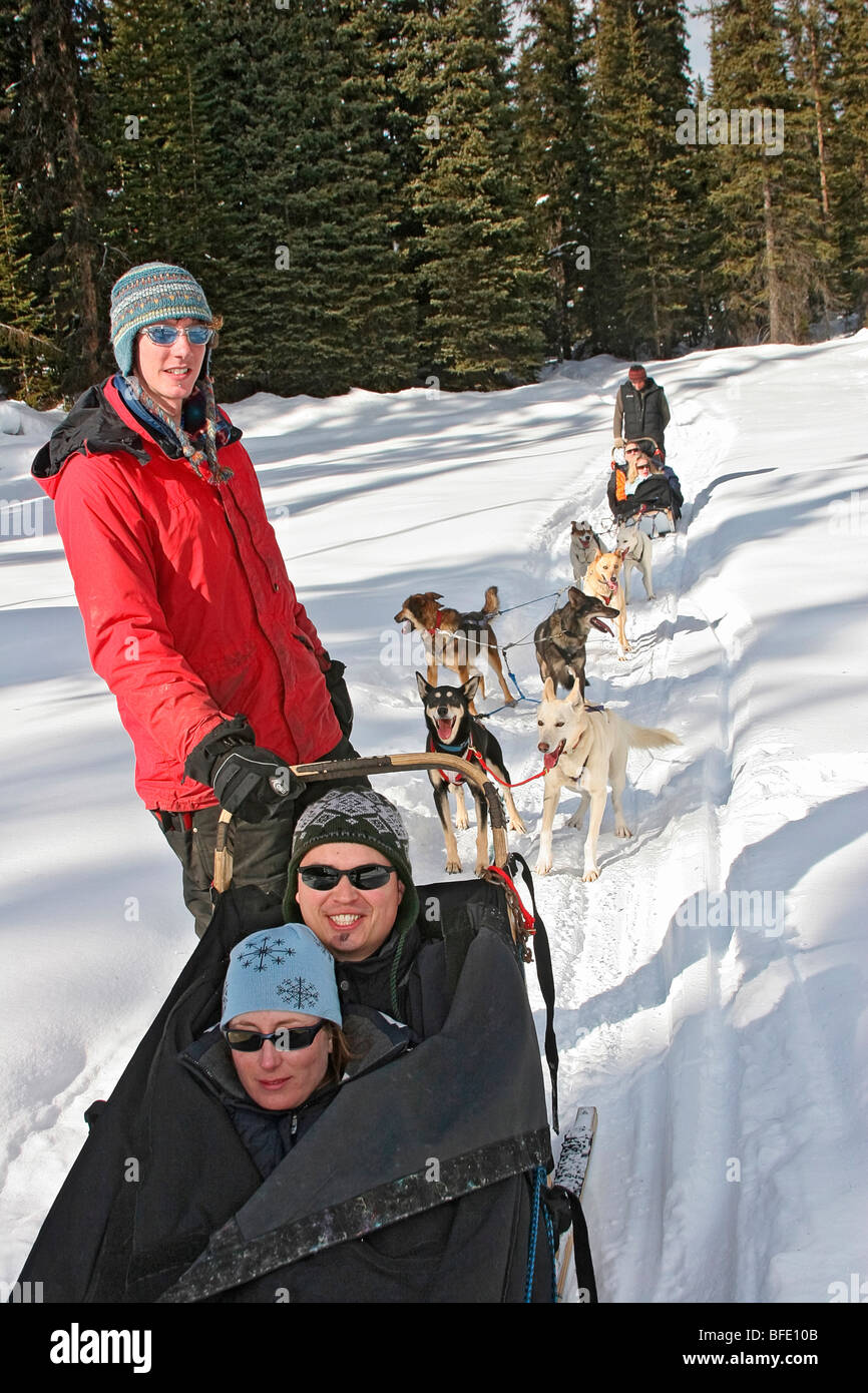 Sled dogs pull sled with people on trail near Lake Louise, Alberta