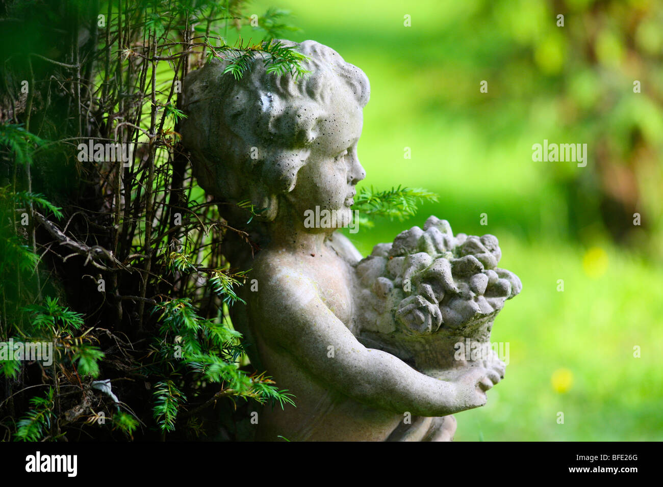 Cherub garden ornamental statues Stock Photo Alamy