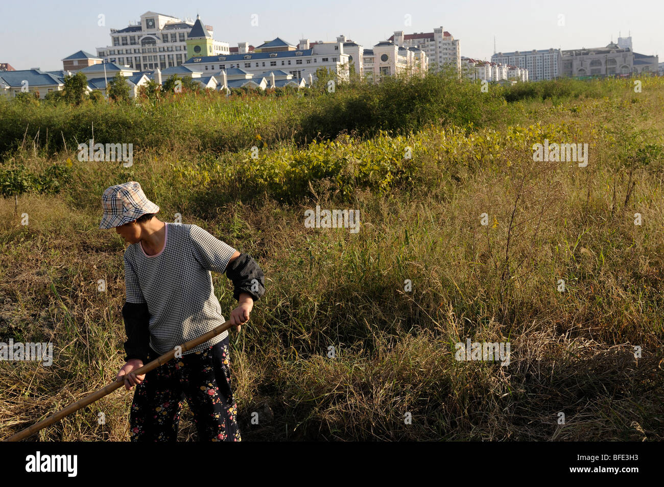 Farmer working in the fields soon to be housing development subdivision in Songjiang on the outskirts of Shanghai. 21-Oct-2009 Stock Photo
