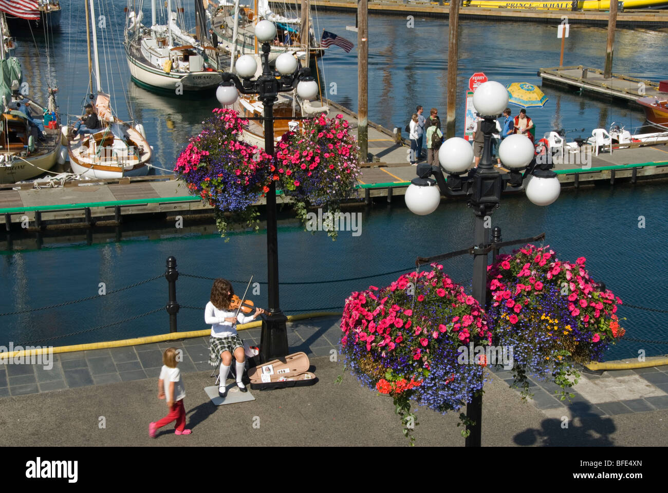 A young fiddler plays beneath flowering hanging baskets at Victoria