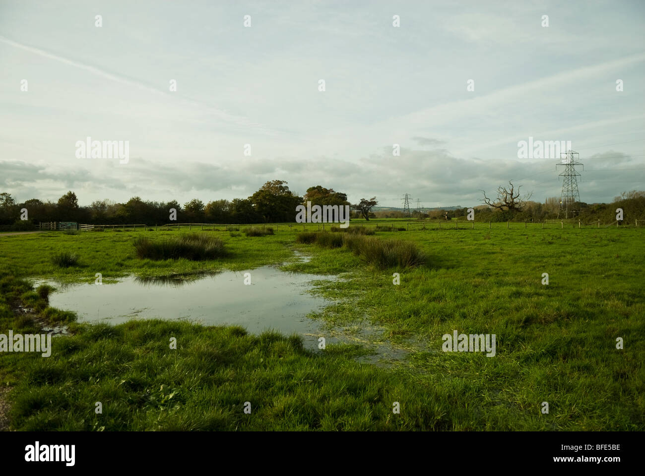 Water on field, Exeter, Devon, England, UK Stock Photo Alamy