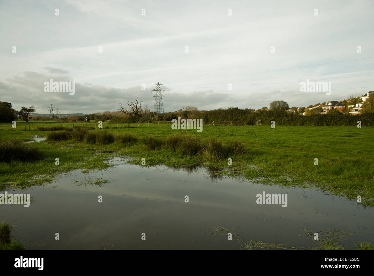 flooded part of field on a light cloudy day, Exeter, Devon, UK Stock Photo