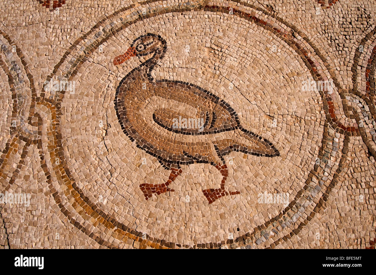 Roman rule israel hi-res stock photography and images - Alamy