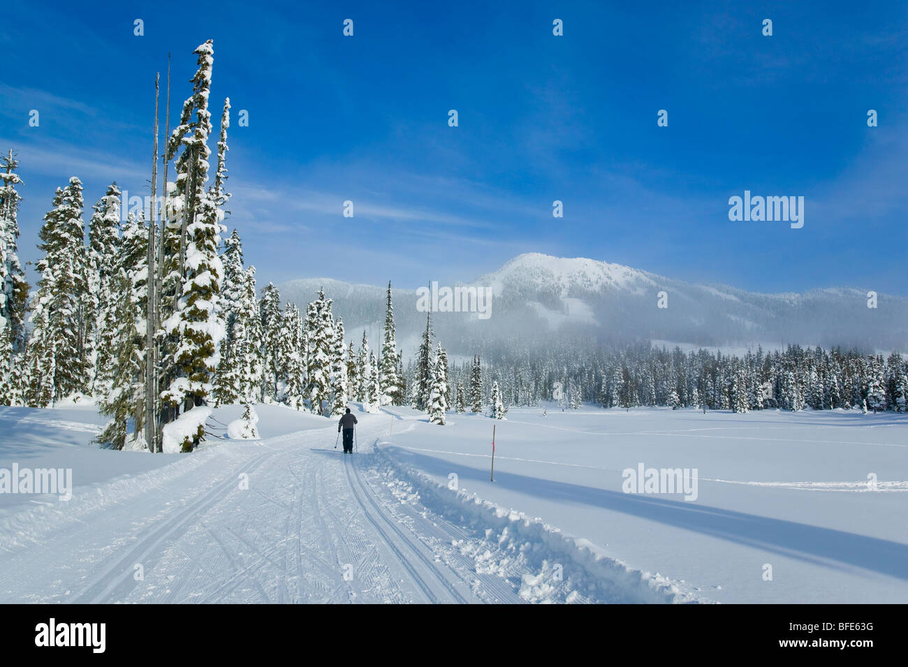 Crosscountry ski trails in Paradise Meadows at Mount Washington, Comox