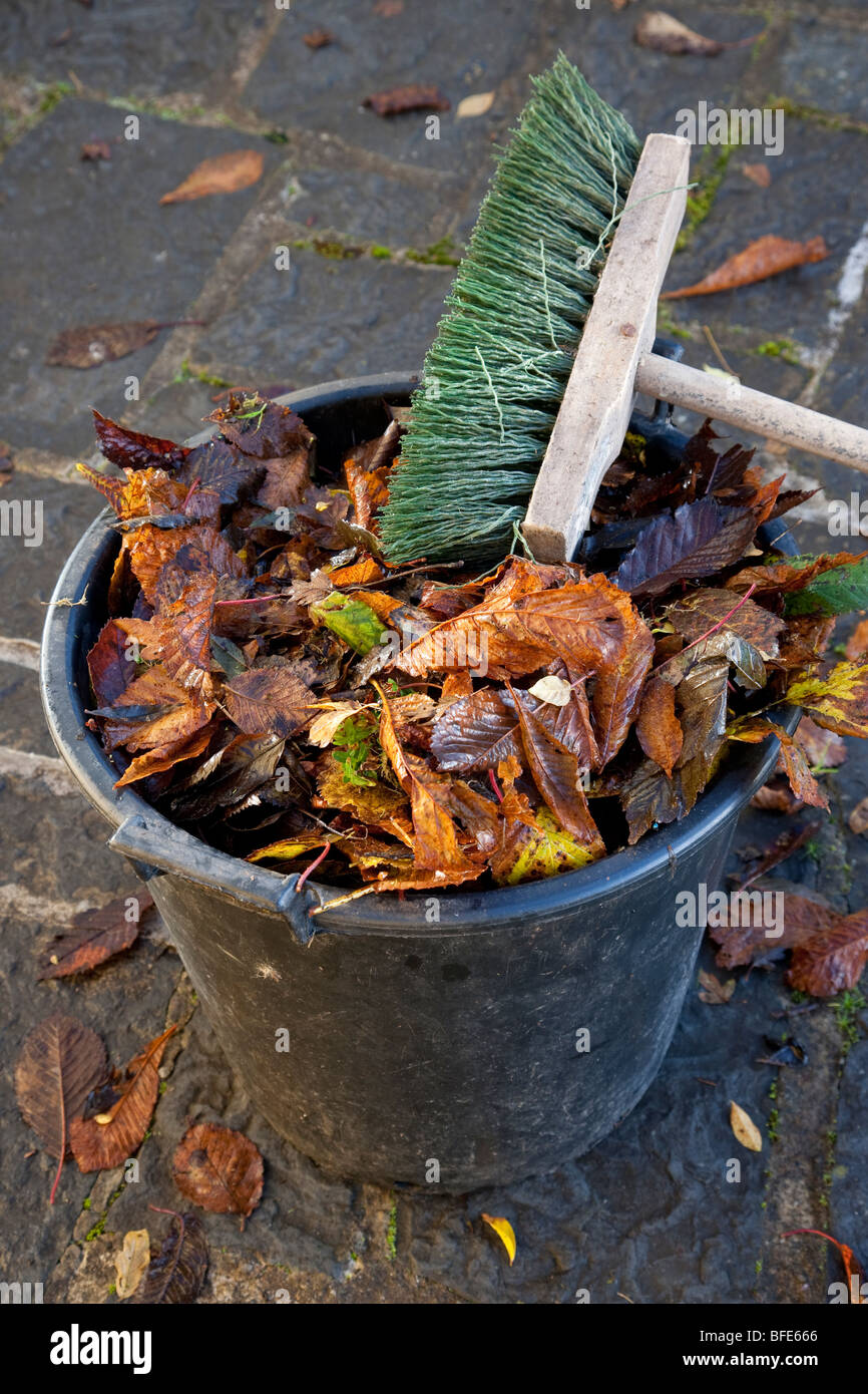 Brown Autumn Leaves in Bucket with Brush Stock Photo