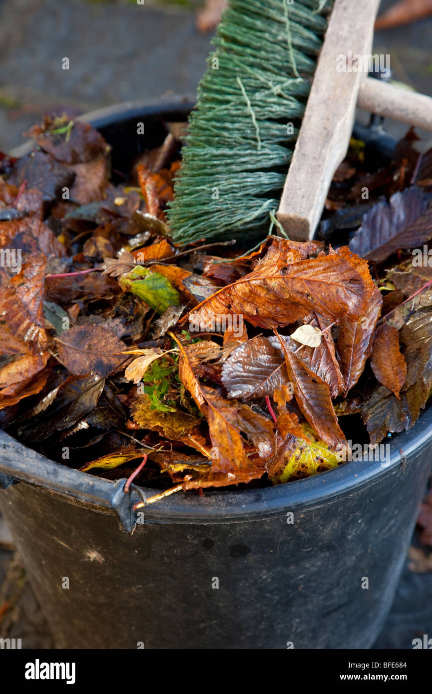 Brown Autumn Leaves in Bucket with Brush Stock Photo