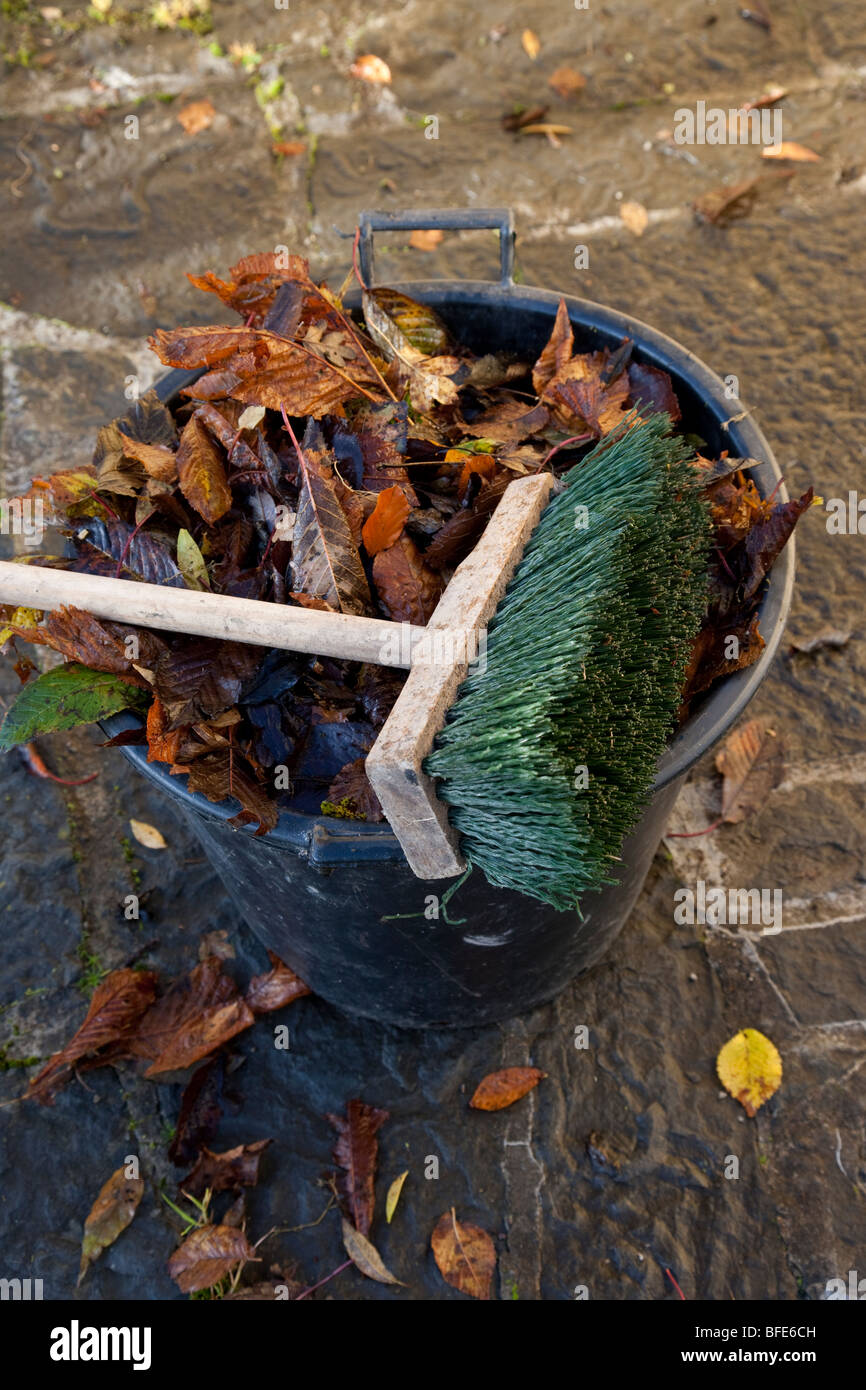Brown Autumn Leaves in Bucket with Brush Stock Photo