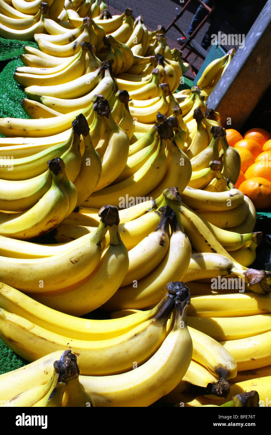 Banana Musa species a Yellow fruit in the Family Musaceae Stock Photo ...