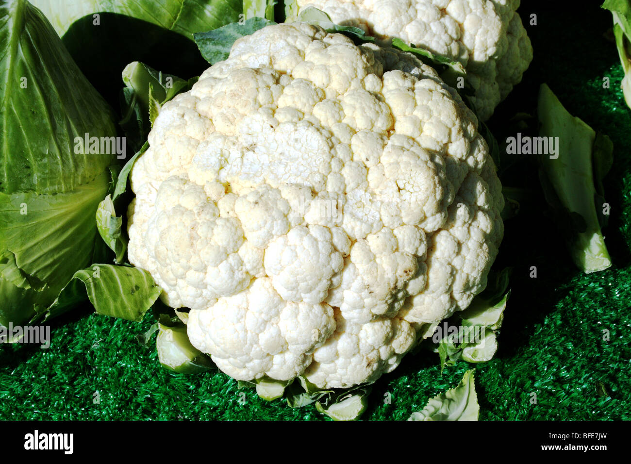 Cauliflower Brassica oleracea Family Brassicaceae a nutitious vegetable Stock Photo