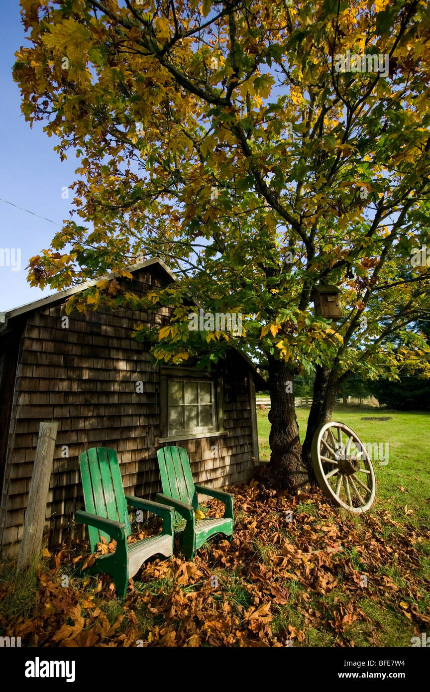 The Piercy Farm,, Denman Island, British Columbia, Canada Stock Photo