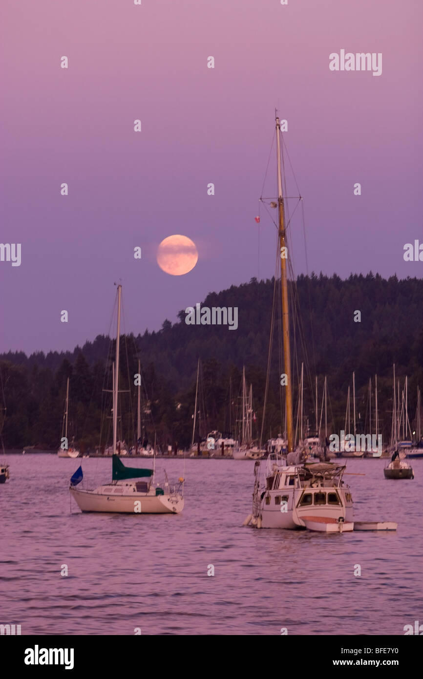 Full moon over Ganges Harbour and sailboats gently tugging at their