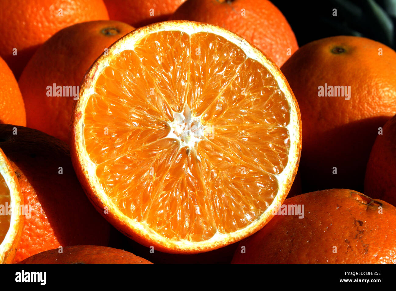 Oranges a Citrus fruit rich in Vitamin C in the Family Rutaceae Stock Photo