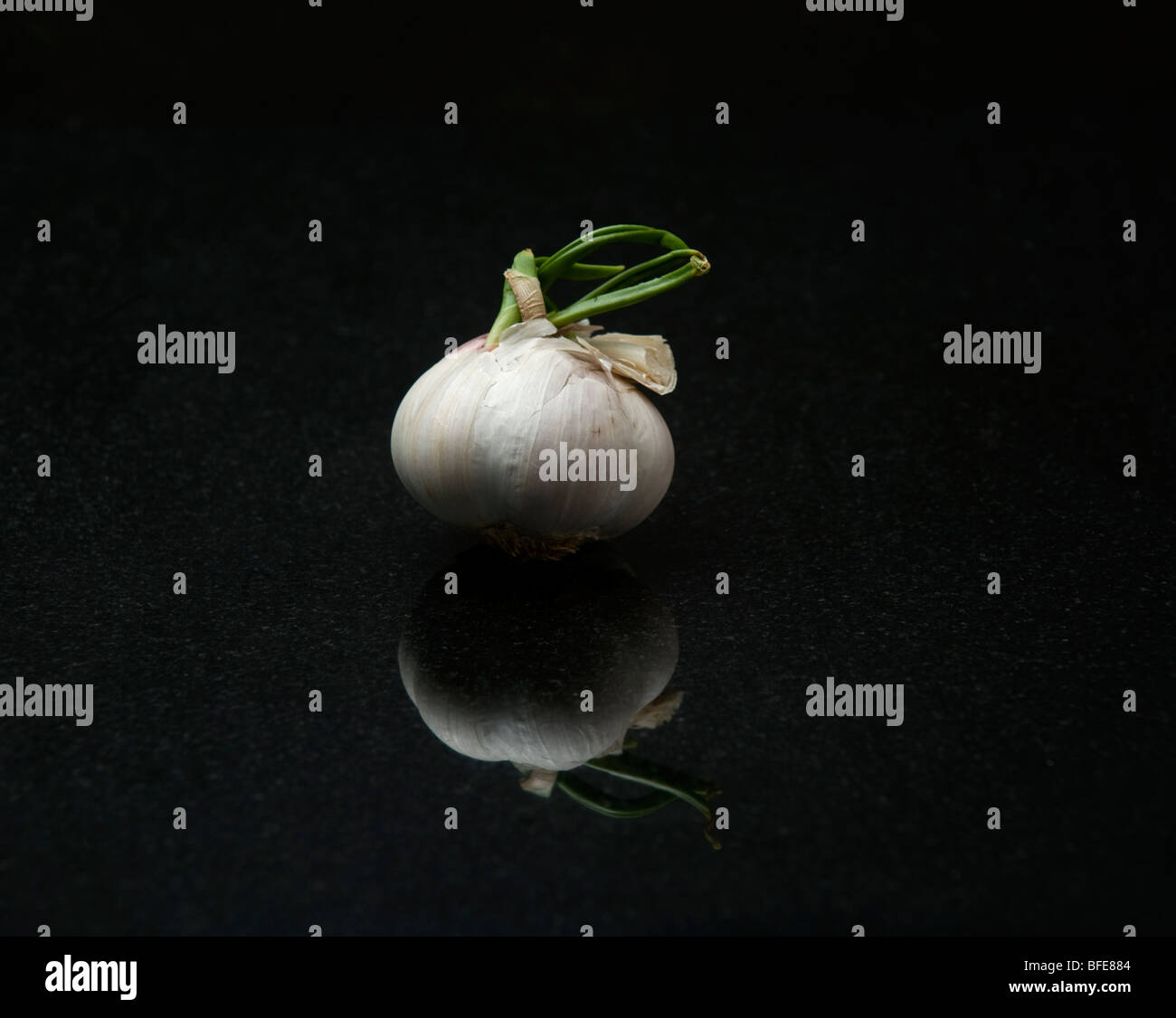 Onion bulb shoot hi-res stock photography and images - Alamy