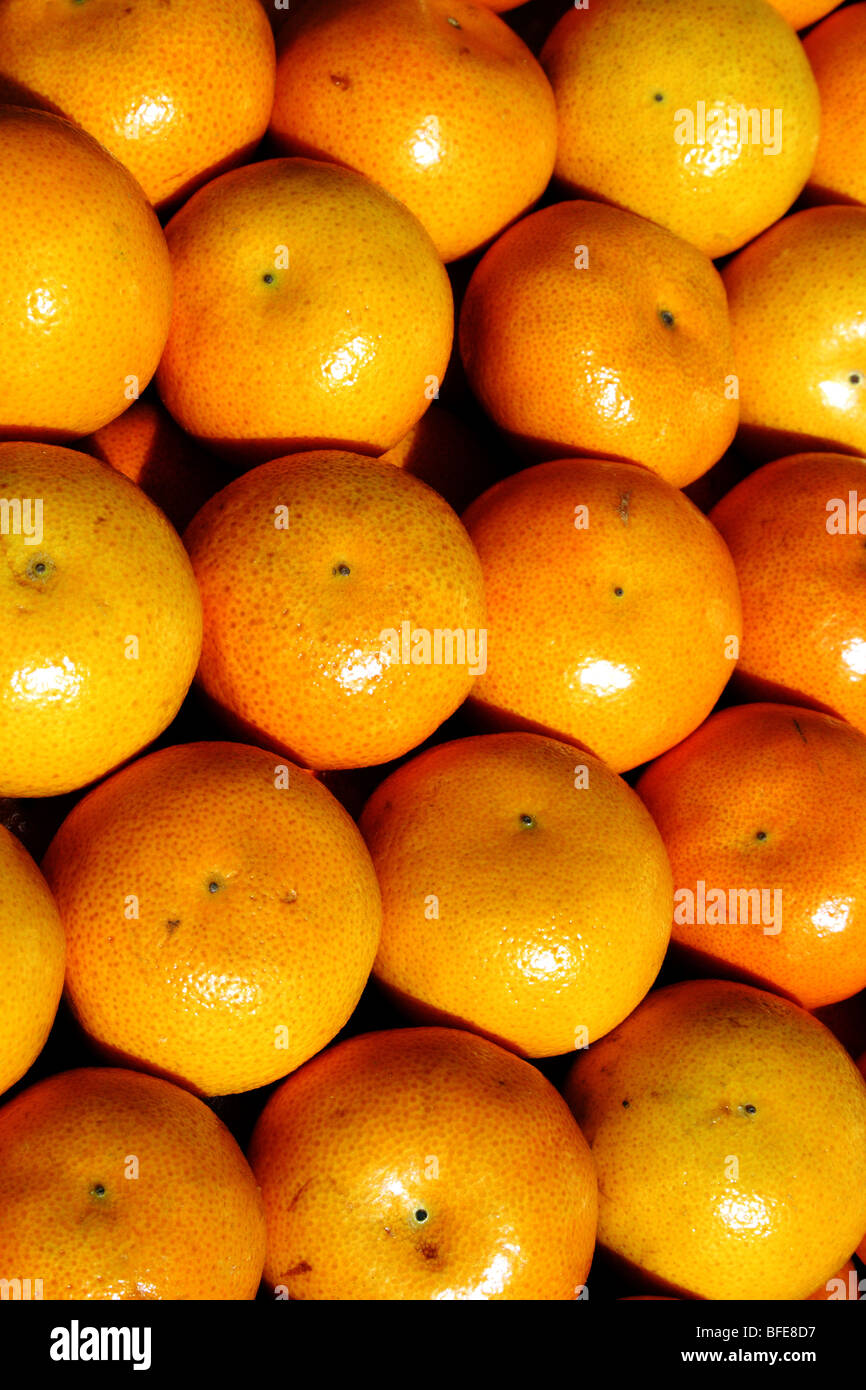 Oranges a Citrus fruit rich in Vitamin C in the Family Rutaceae Stock Photo