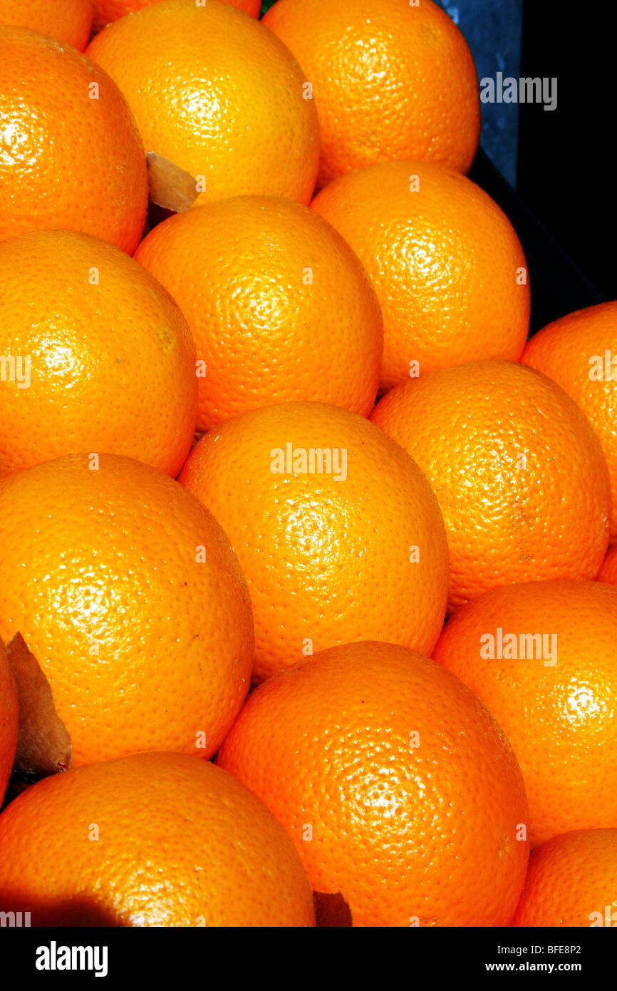 Orange Citrus Fruit in the family Rutaceae rich in Vitamin C Stock Photo