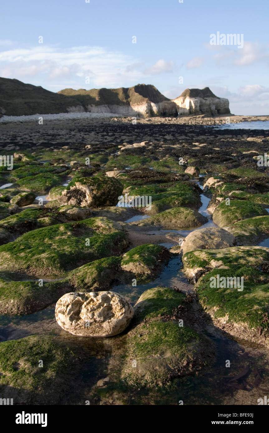 rock pool pools rockpool rockpools beach stone stony beaches sea weed seaweeds geology geological feature eco systems system eco Stock Photo