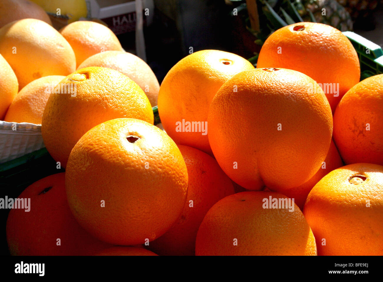 Oranges a Citrus fruit rich in Vitamin C in the Family Rutaceae Stock Photo