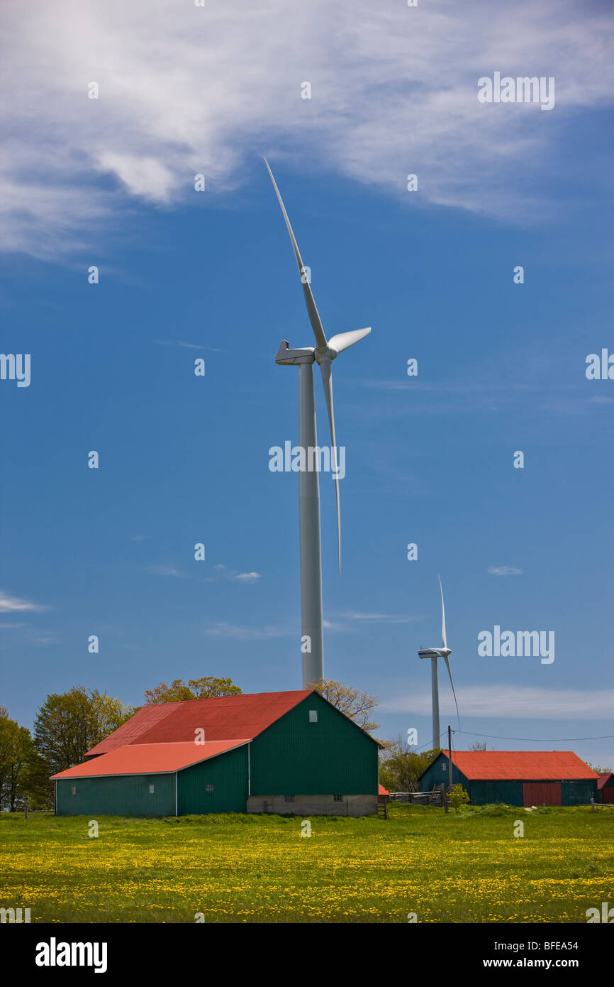 Ecofriendly wind turbines with rural barns on the Bruce Peninsula
