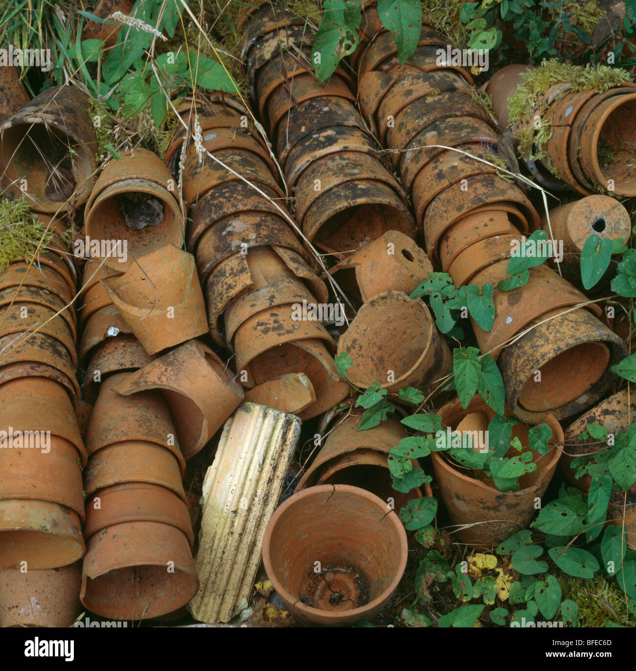 Collection Old Terracotta Flower Pots High Resolution Stock Photography ...
