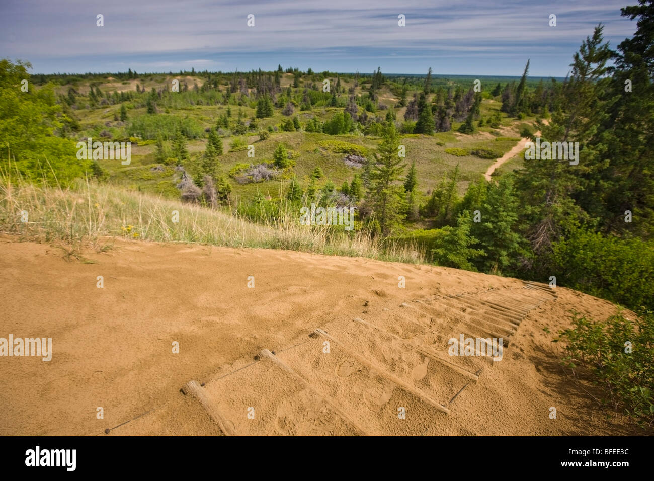 Overview of the Spirit Sands trail from atop a sand dune in Spruce Woods Provincial Park, Manitoba, Canada Stock Photo