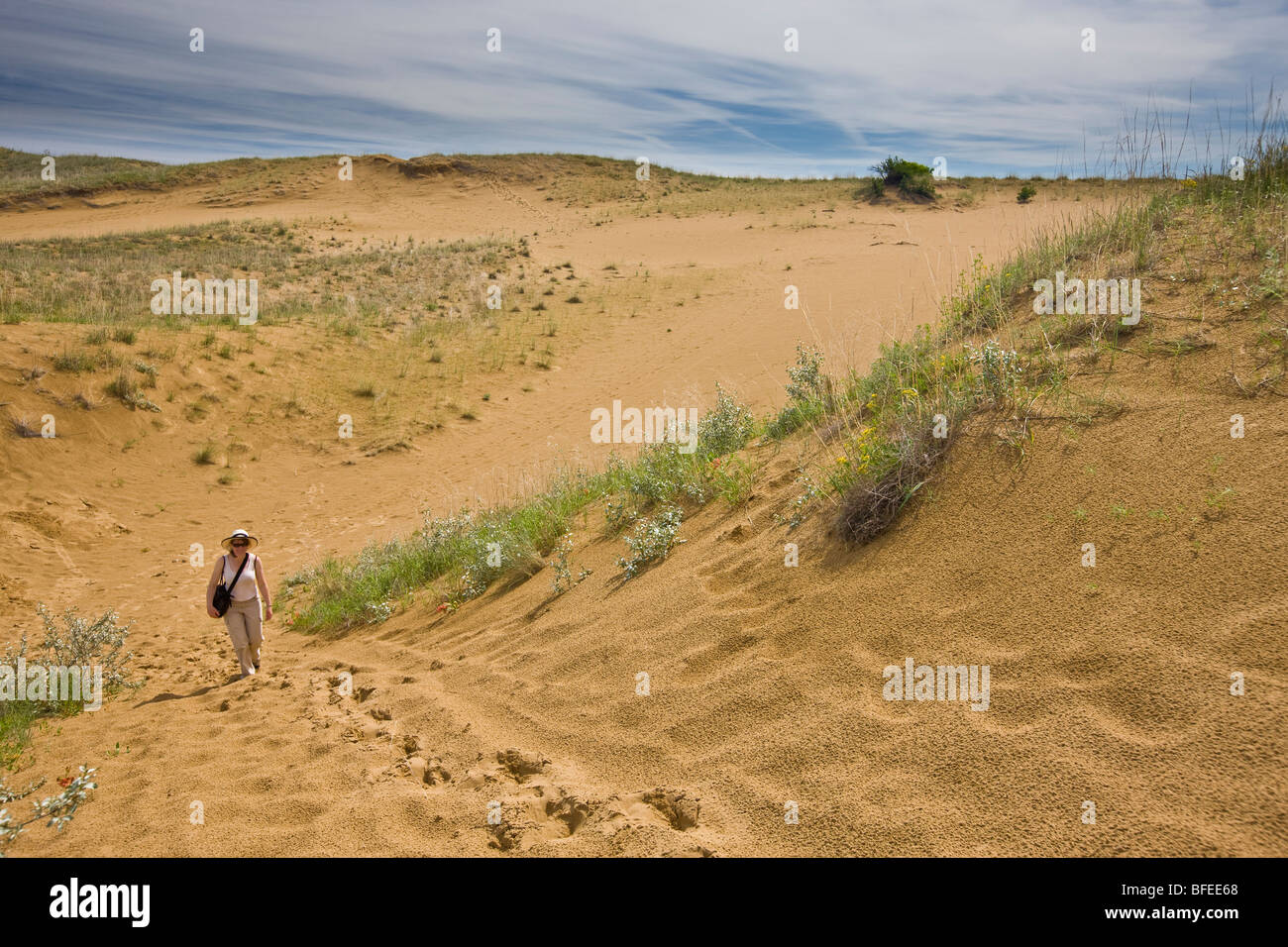 Tourist walking the Spirit Sands trail, Spruce Woods Provincial Park, Manitoba, Canada Stock Photo