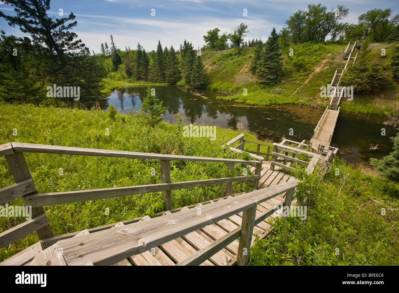 Wooden stairway in Devils Punch Bowl in the Spirit Sands, Spruce Woods Provincial Park, Manitoba, Canada Stock Photo