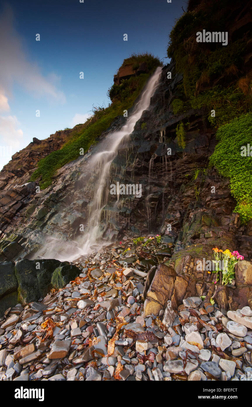 Bucks Mills waterfall cascading down over the beach on the North Devon coast UK Stock Photo