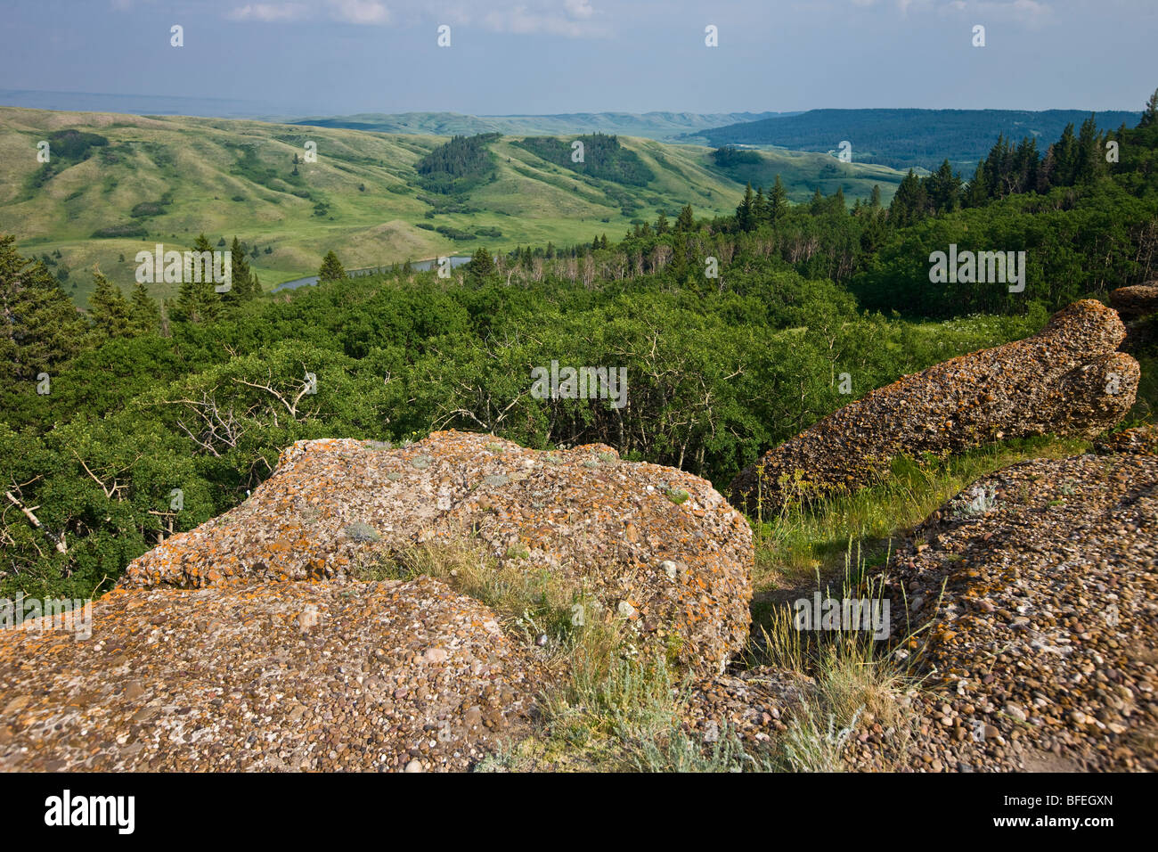 View of Cypress Hills Interprovincial Park from the Conglomerate Cliffs viewpoint, Saskatchewan, Canada Stock Photo