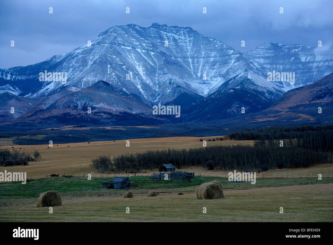 Abandoned farmstead with hay field around it outside of Waterton Lakes