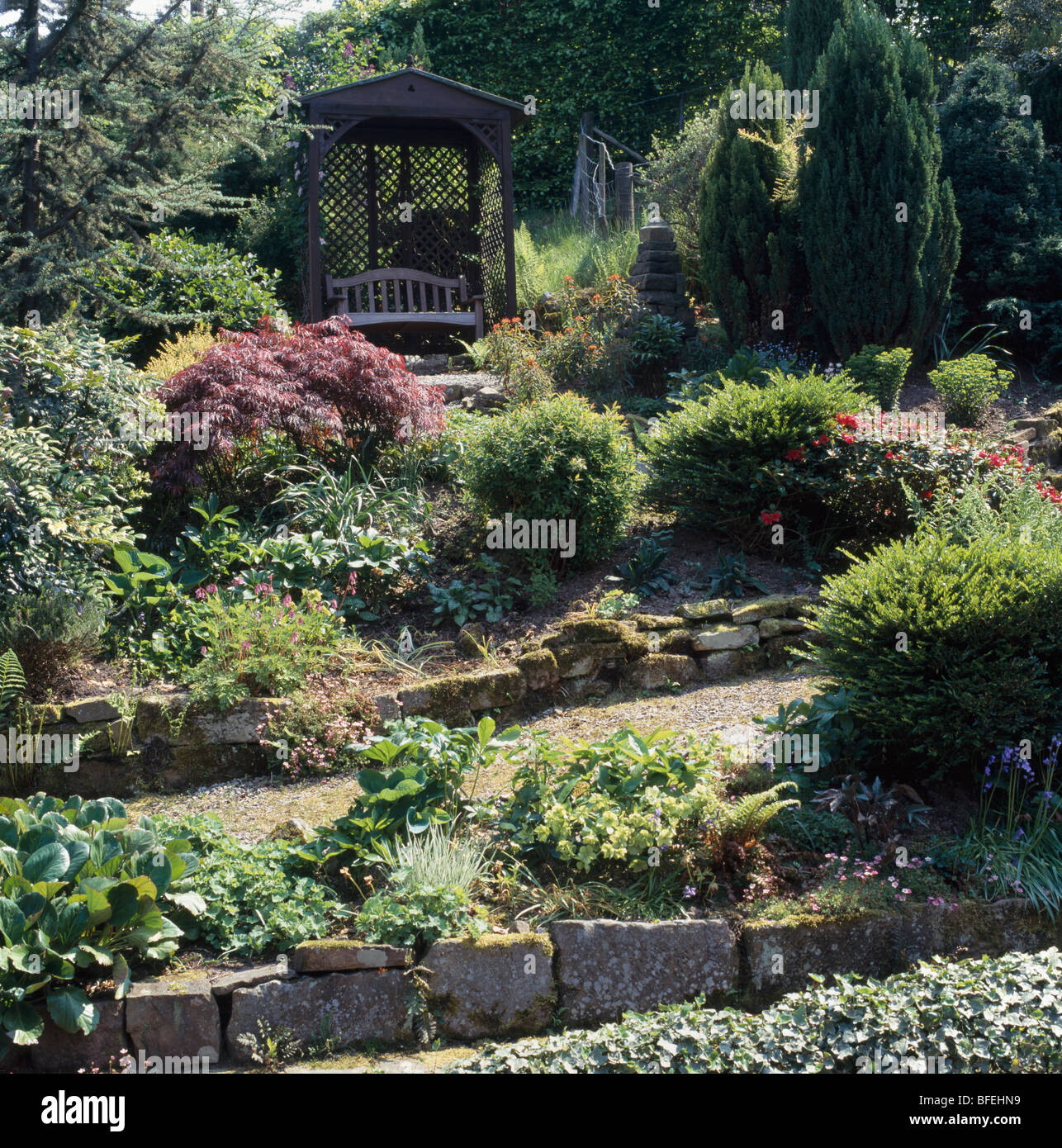 Large country garden with shrubs growing in raised stoneedged beds in