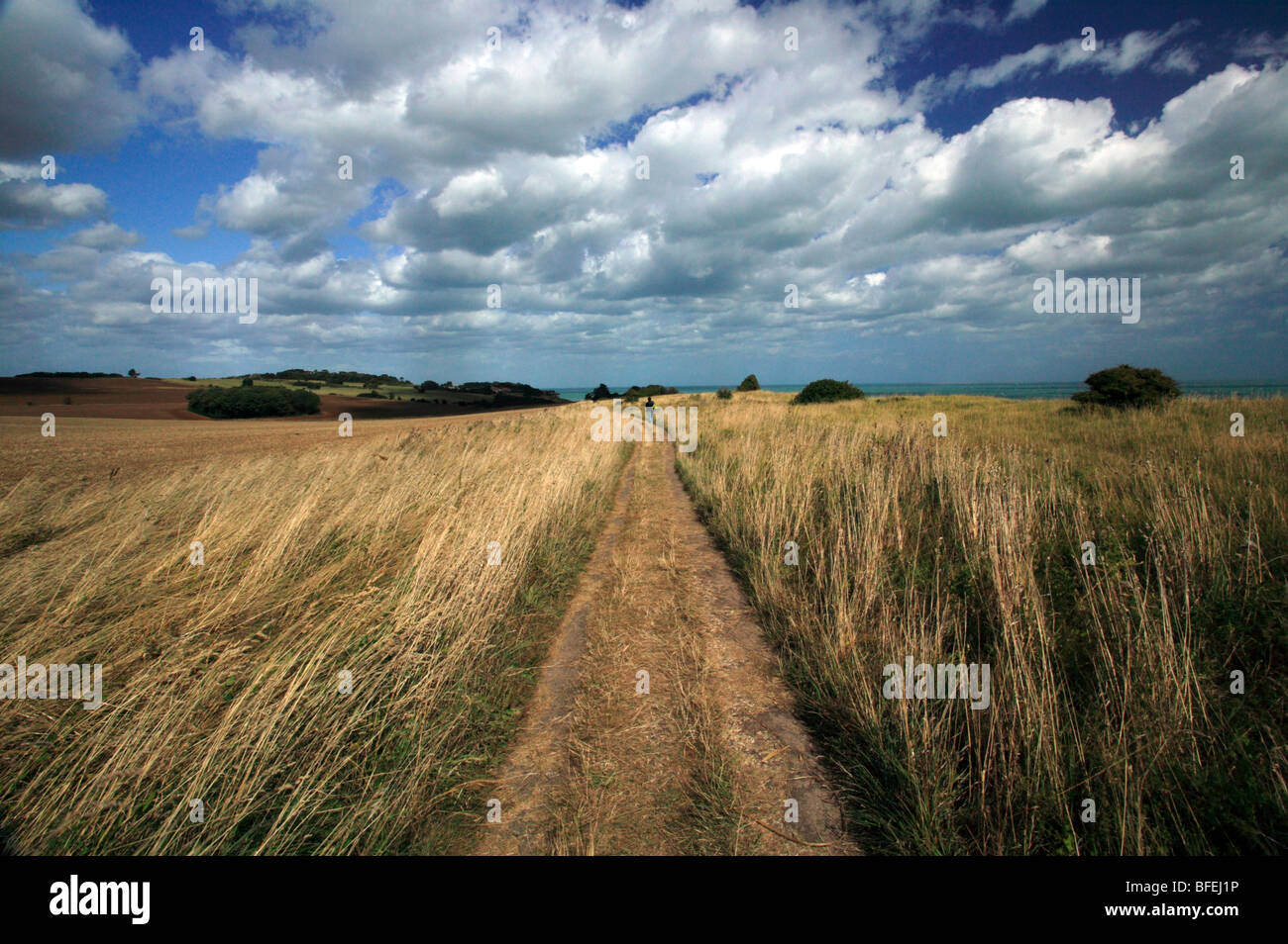 Beautiful evening landscape on the Saxon Shore Way between St Margrets Bay and Kingsdown, Kent Stock Photo
