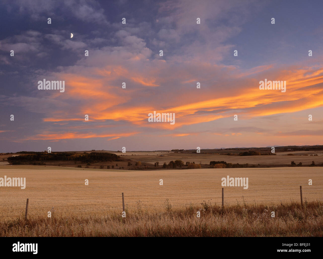 Sunset clouds over hay field near Water Valley, Alberta, Canada Stock Photo