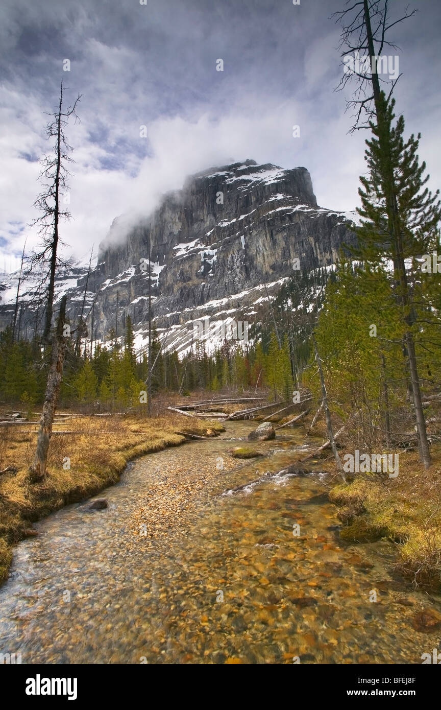 The 'Guard Wall' and Stanley Creek along the Stanley Glacier Trail, Kootenay National Park, British Columbia, Canada Stock Photo