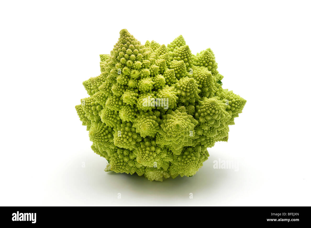 Romanesco broccoli (or Roman Cauliflower) on a white background Stock Photo