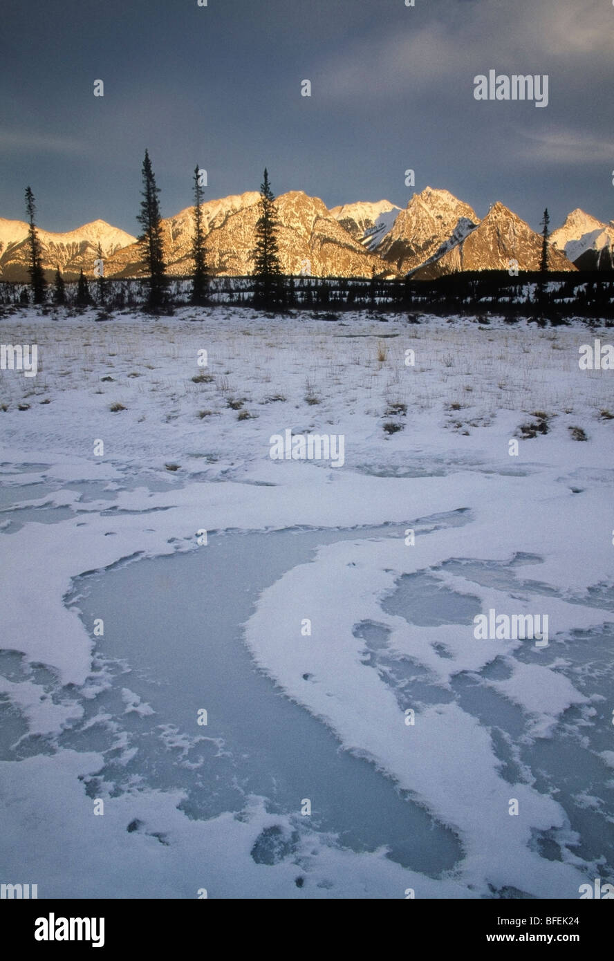Ex Coelis Mountain and the North Saskatchewan River in winter, Kootenay Plains, Alberta, Canada Stock Photo