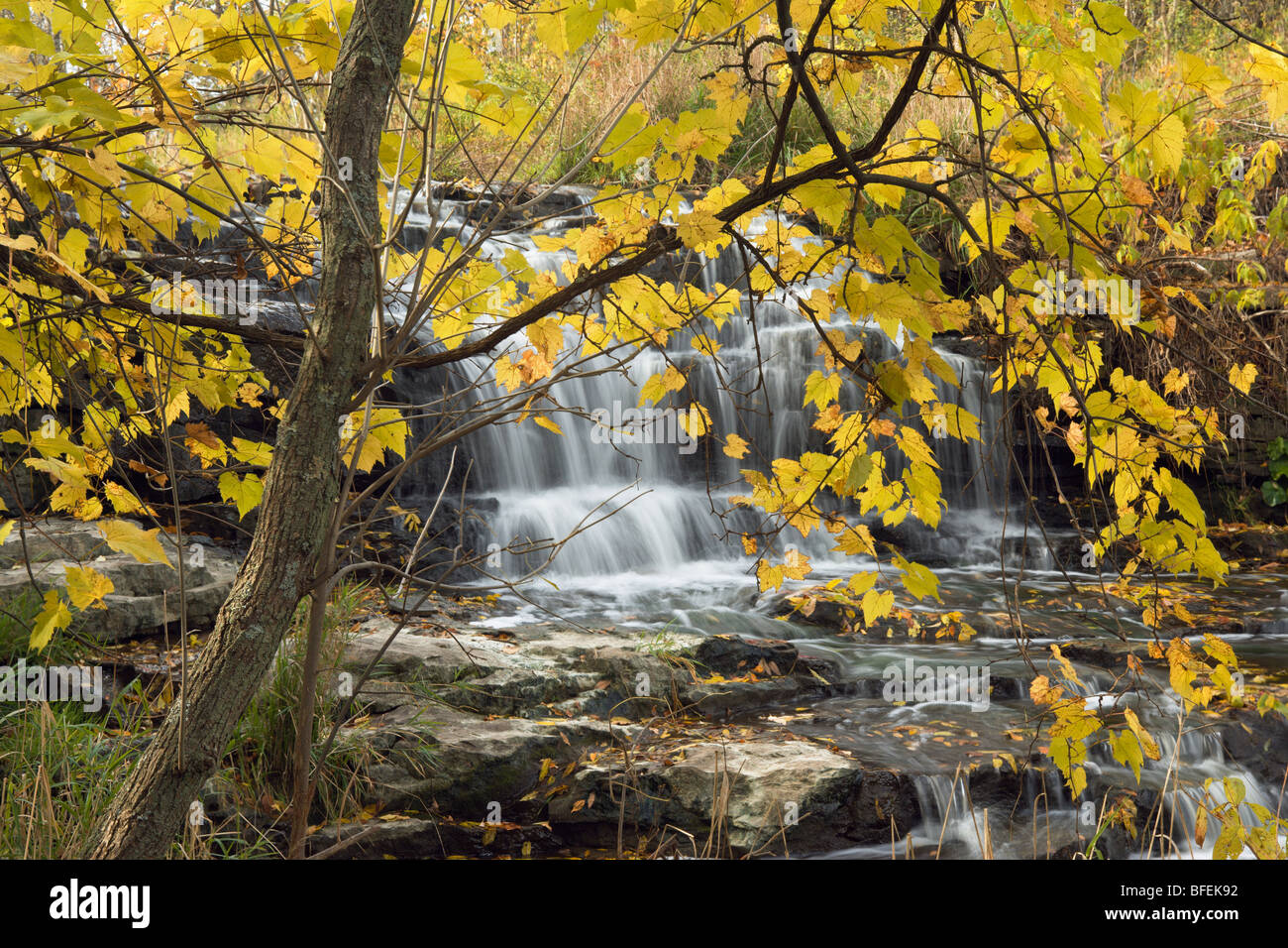 Fifteen Mile Creek and Martins Falls, Rockway, Ontario, Canada Stock Photo