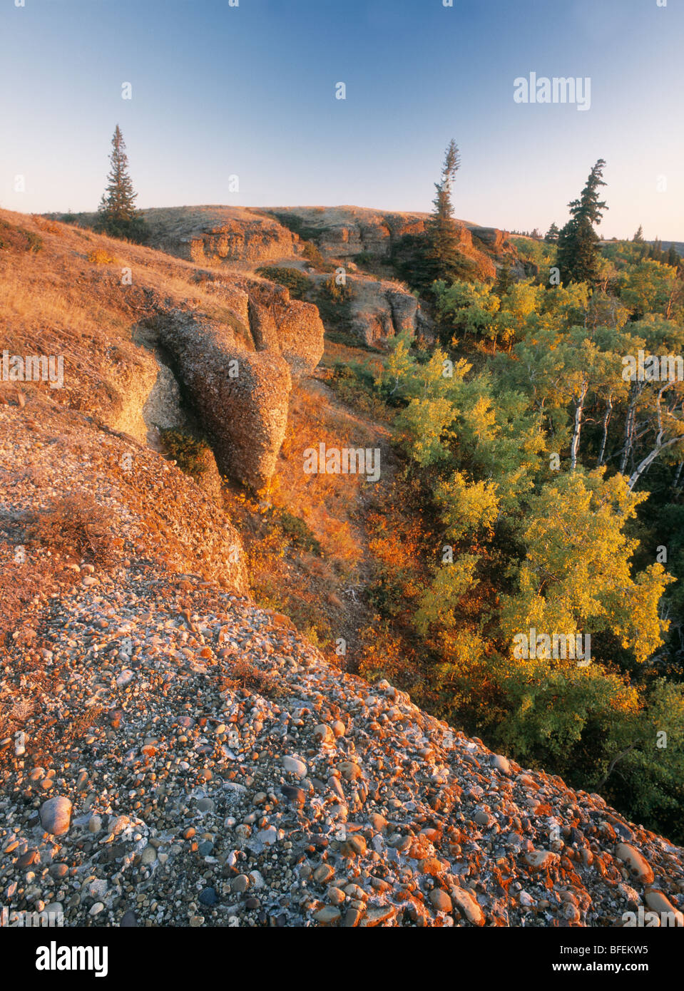 The Conglomerate Cliffs, Cypress Hills Interprovincial Park, Saskatchewan, Canada Stock Photo