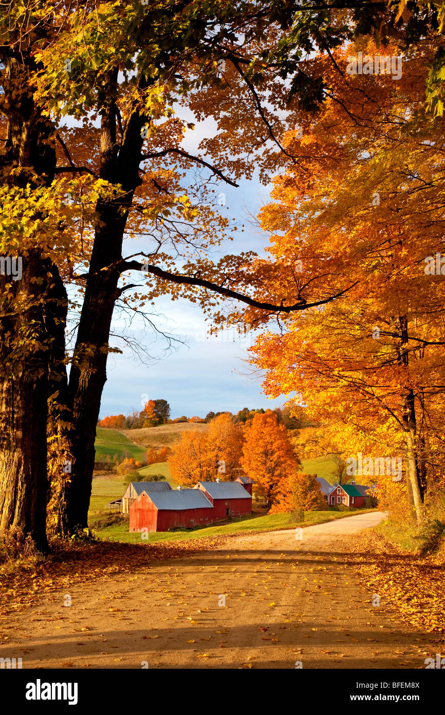 Dawn in autumn at the Jenne Farm near South Woodstock Vermont USA Stock Photo